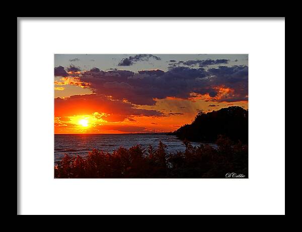 Sunset Framed Print featuring the photograph Sunset by the Beach by Davandra Cribbie