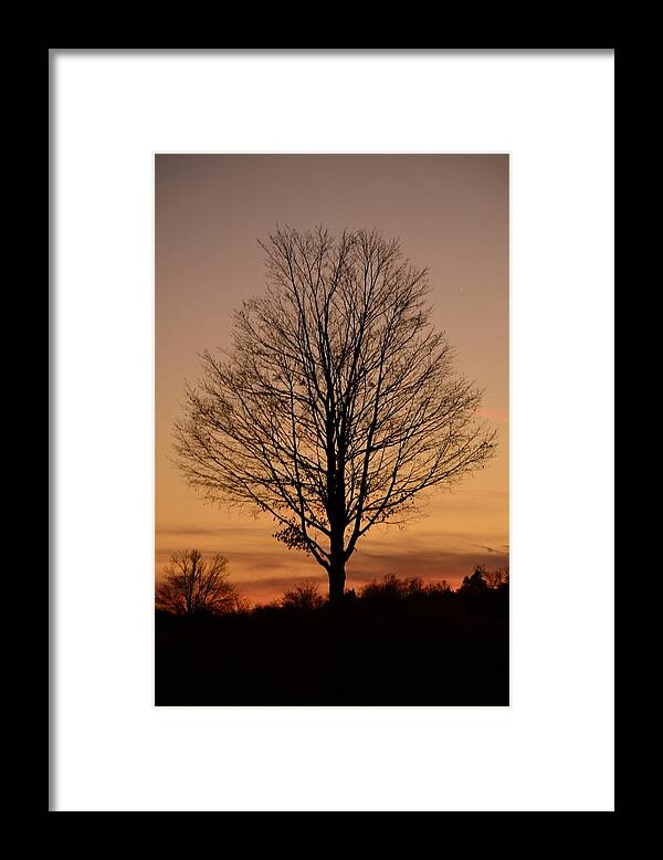 Silhouettes Framed Print featuring the photograph Sunset Silhouette by Cathy Shiflett