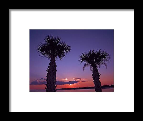 Sunset Framed Print featuring the photograph Sunset through the Palms by Brian Wright