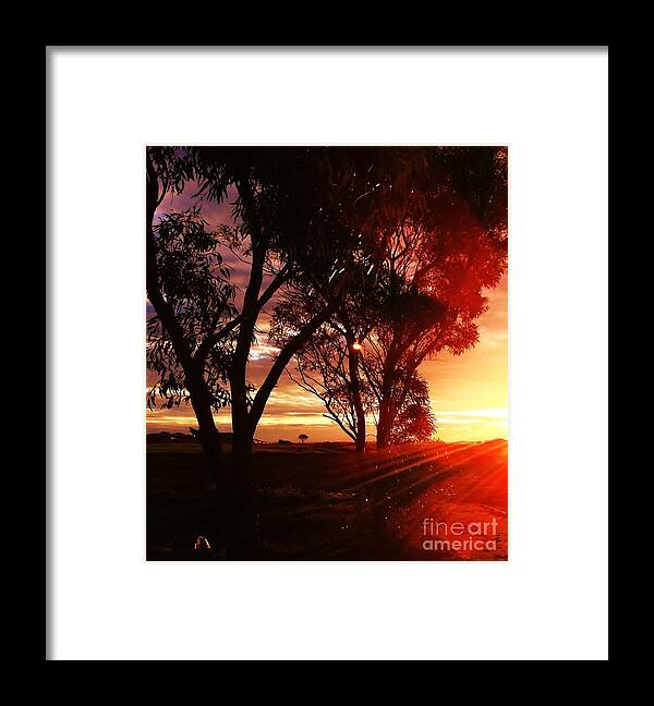 Australia Framed Print featuring the photograph Sunset through the trees by Blair Stuart
