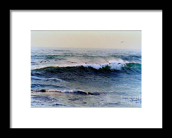 Pelican Framed Print featuring the photograph Sunset Watch by Kathy Bassett