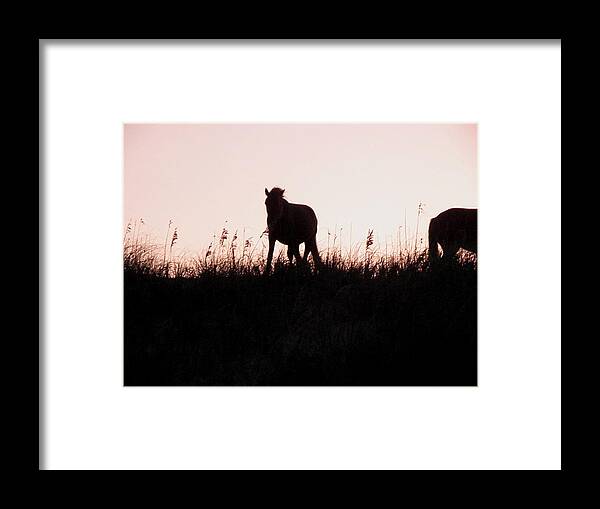 Wild Framed Print featuring the photograph Sunset Wildness by Kim Galluzzo