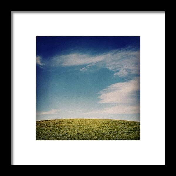 Maedow Framed Print featuring the photograph Sutro Meadow by Dabobabo 
