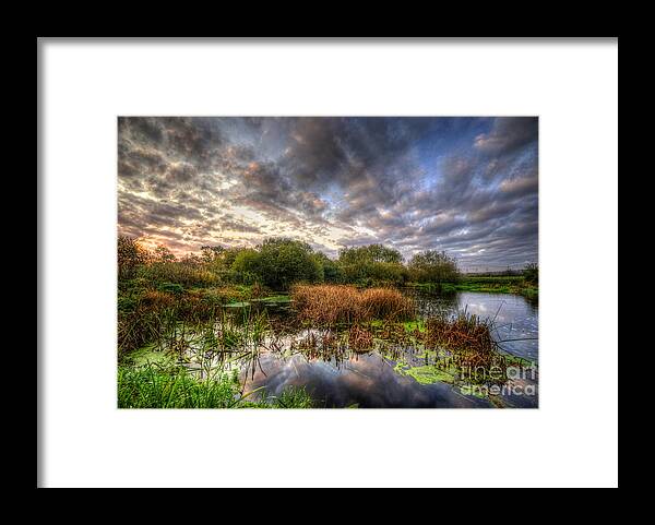 Hdr Framed Print featuring the photograph Swampy by Yhun Suarez