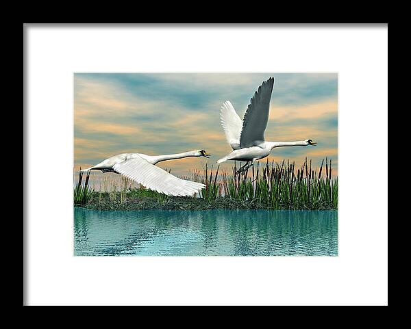 Swan Framed Print featuring the digital art Swans in Flight by Walter Colvin