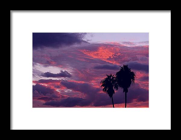 Palm Trees Framed Print featuring the photograph Swaying To The Blues by Louise Mingua