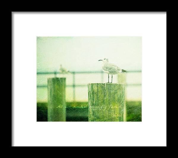 Beach Framed Print featuring the photograph Sweetest Hours by Robin Dickinson
