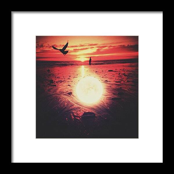 Primeshots Framed Print featuring the photograph T H E O B S E R V E R ( 1 9 by Usman Ali