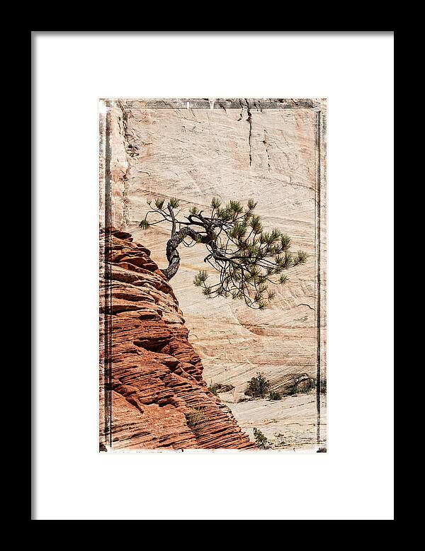 Zion Framed Print featuring the photograph T W I S T E D  by George Buxbaum