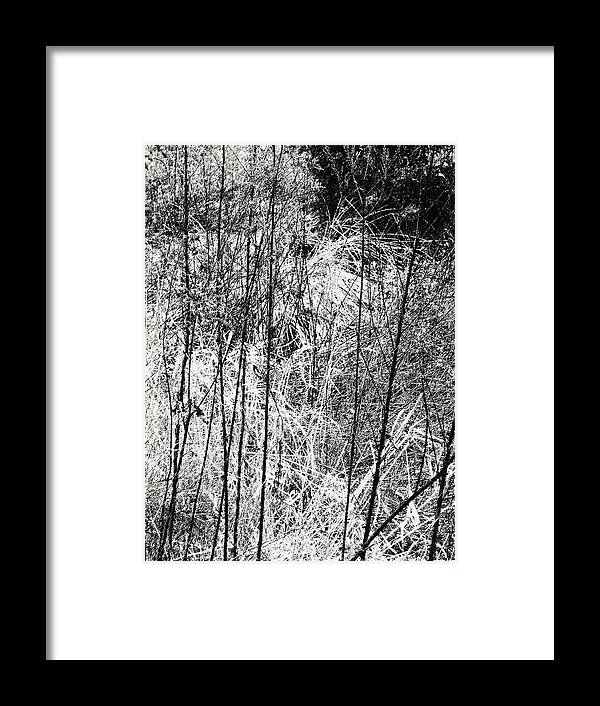 Pen And Ink Framed Print featuring the digital art Tangled Weeds 2 by Anne Cameron Cutri