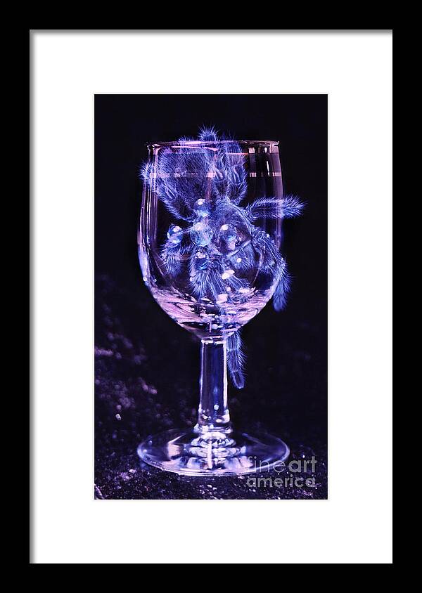 Tarantula Framed Print featuring the photograph Tarantula on Wine Goblet by Janeen Wassink Searles