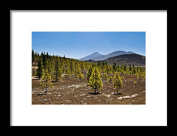 Volcano Framed Print featuring the photograph Technicolor Teide by Justin Albrecht