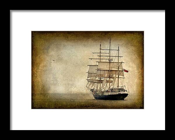 Textured Framed Print featuring the photograph Tenacious by Fred LeBlanc