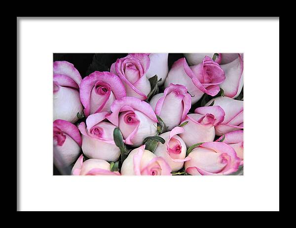 Floral Framed Print featuring the photograph Tender As Baby Lips by Jan Amiss Photography