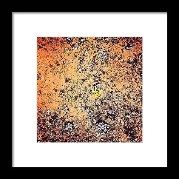 Texture Framed Print featuring the photograph Terracotta Life by Nic Squirrell