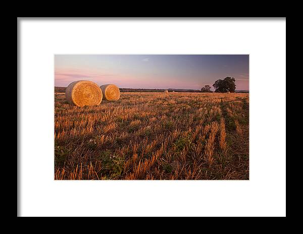 Texas Framed Print featuring the photograph Texas Hay Field 3 by Paul Huchton