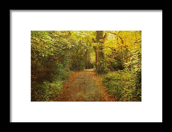 Textures Framed Print featuring the photograph Textured Trees by Martina Fagan