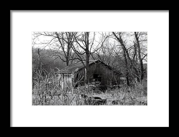 Tree Framed Print featuring the photograph The barn by Felix Concepcion