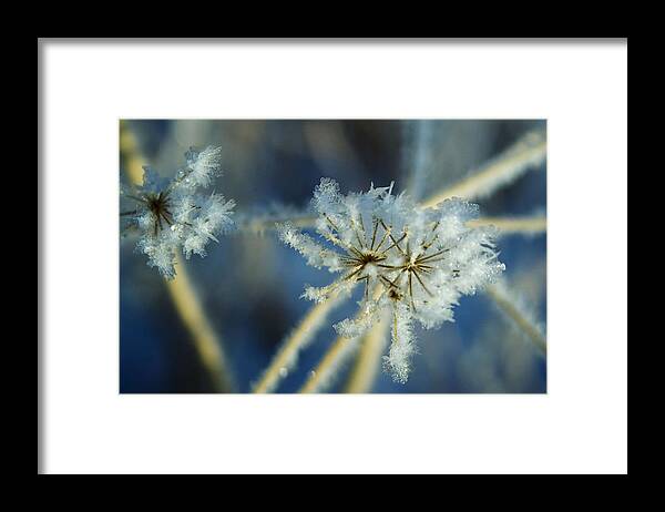 Ice Framed Print featuring the photograph The Beauty of Winter by Ellen Heaverlo