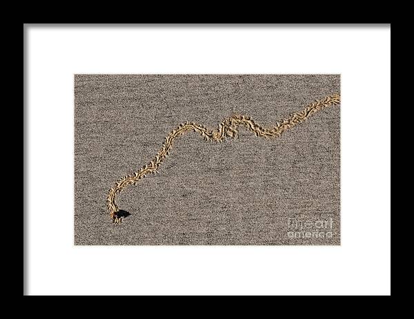 Beach Framed Print featuring the photograph The Bee-Line by Sonny Marcyan