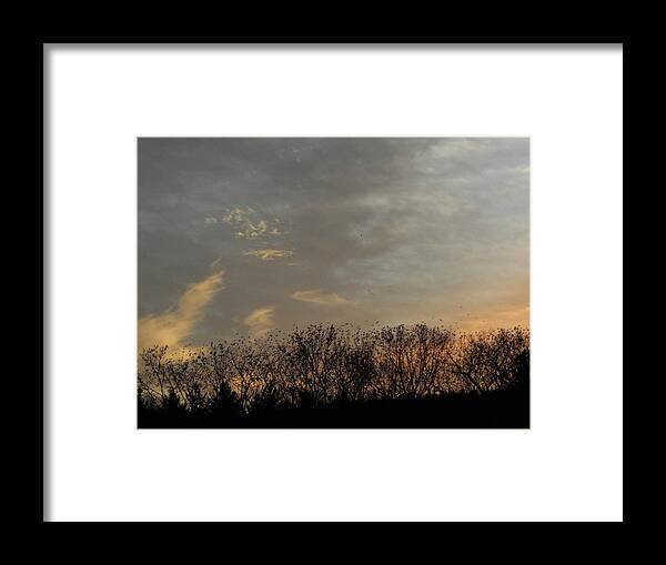 Black Birds Framed Print featuring the photograph The Birds Have Landed by Kim Galluzzo