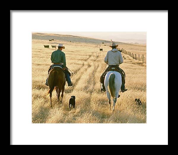 Cowboys Working Framed Print featuring the photograph The Cunningham by Diane Bohna