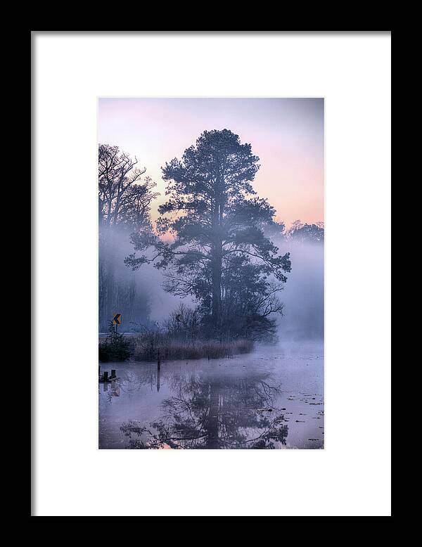 Deeply Southern Framed Print featuring the photograph The Curve by JC Findley