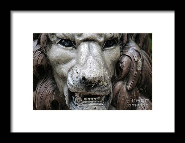 Lion Photos Framed Print featuring the photograph The Fierce Lion by Kathy White