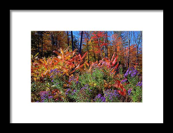 Flowers Framed Print featuring the photograph The Full Gamut by Larry Landolfi