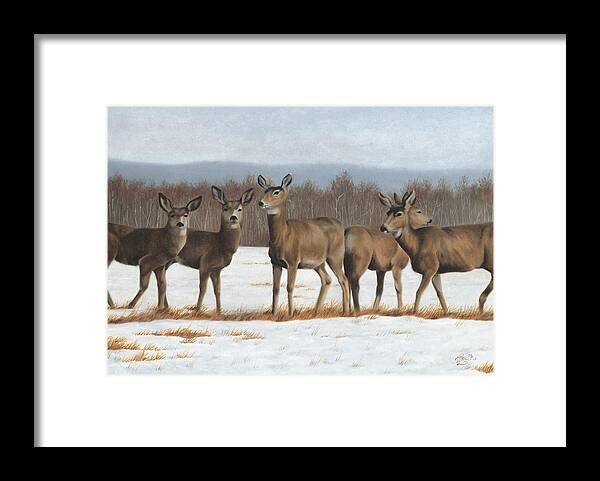 Mule Deer In Winter Field Framed Print featuring the painting The Gathering by Tammy Taylor