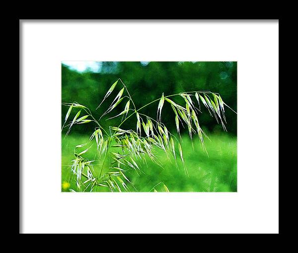 Grass Framed Print featuring the photograph The Grass Seeds by Steve Taylor