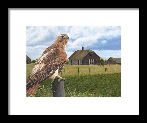 Red Tailed Hawk Over Looking Old Homestead Framed Print featuring the painting The Grounds Keeper by Tammy Taylor