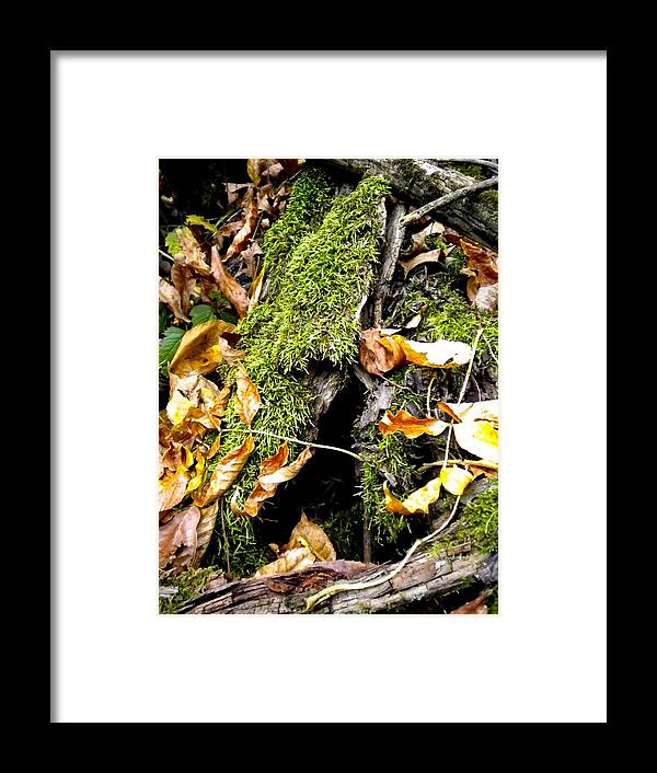 Forest Framed Print featuring the painting The Hiding Spot by Renate Wesley