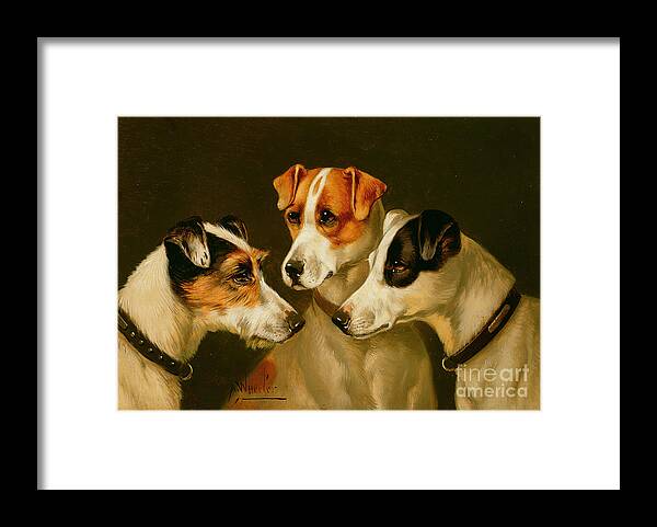 Dog Framed Print featuring the painting The Hounds by Alfred Wheeler