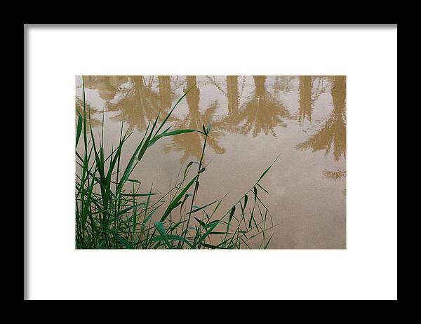 River Framed Print featuring the painting The Jordan River by David George