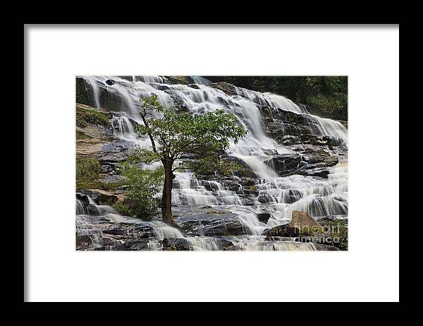 Mae Framed Print featuring the photograph The Lonesome Pine. by Pete Reynolds
