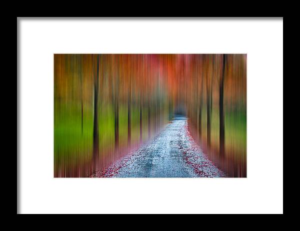 Autumn Framed Print featuring the photograph The Long Way Home by Joye Ardyn Durham