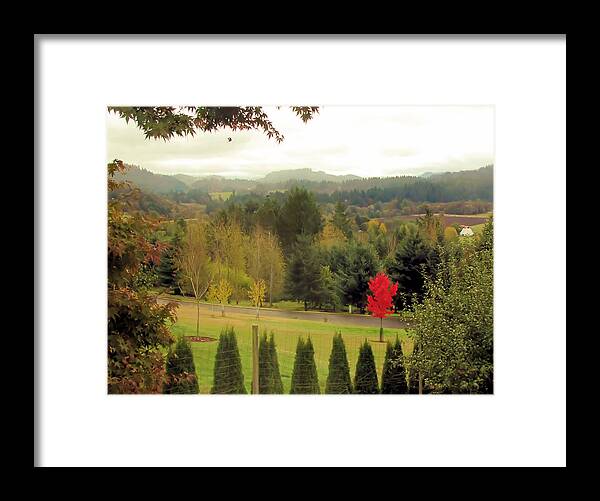 Barn Framed Print featuring the photograph The Maple by KATIE Vigil