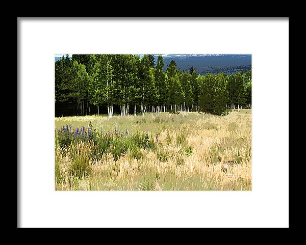 Landscape Framed Print featuring the photograph The Meadow Digital Art by Phyllis Denton
