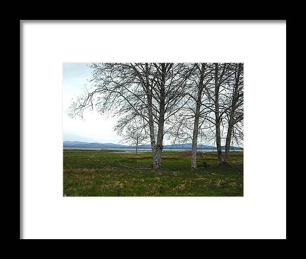 Oysterville Framed Print featuring the photograph The Meadow Osyterville by Kelly Manning