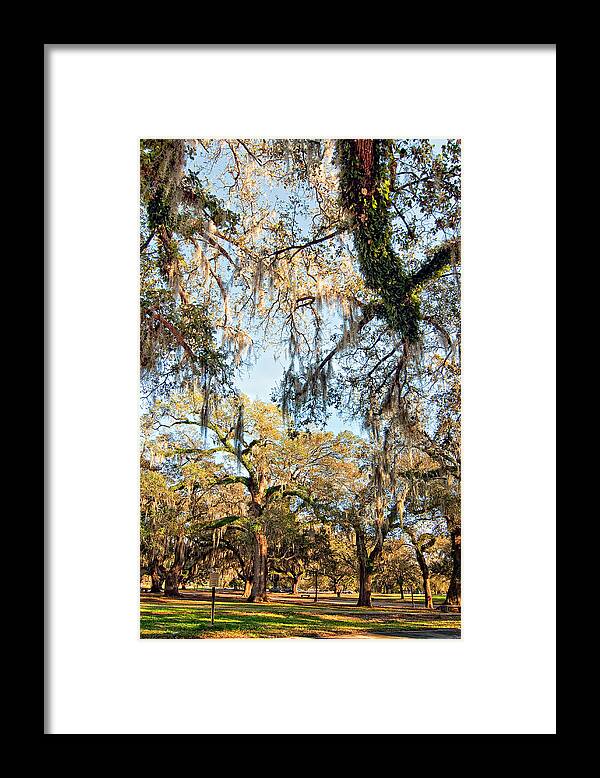 New Orleans Framed Print featuring the photograph The Oaks of City Park by Steve Harrington