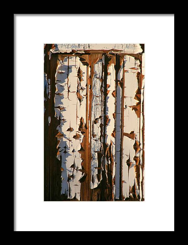 Outback Framed Print featuring the photograph The Old Door by Jan Lawnikanis