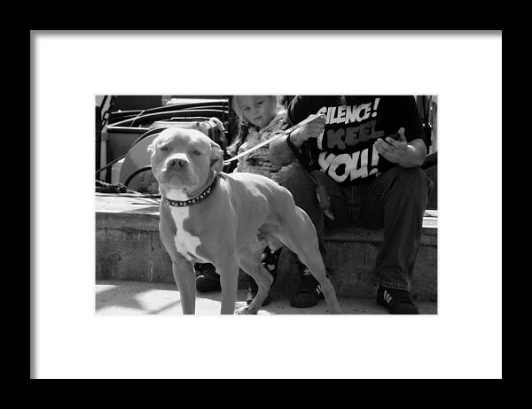 Staffordshire Bull Terrier Framed Print featuring the photograph The Pit by Marysue Ryan