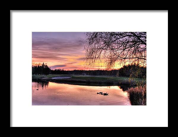 Pond Framed Print featuring the photograph The Pond by John Loreaux