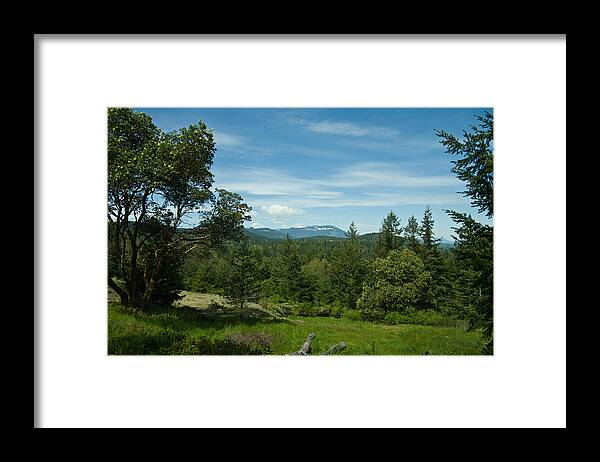 Arbutus Framed Print featuring the photograph The Private Grove by Travis Crockart