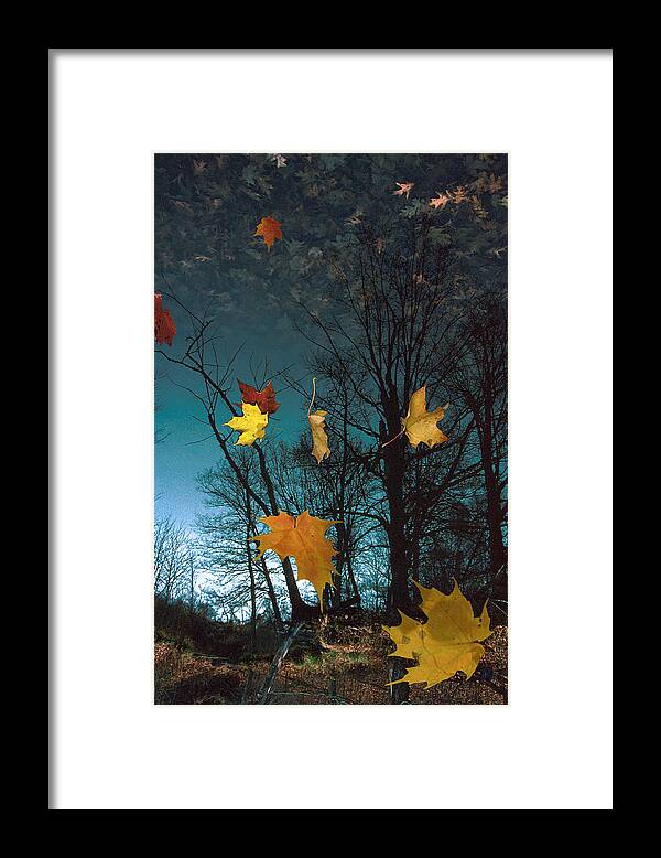 Autumn Framed Print featuring the photograph The Reflected Mind by Jon Lord