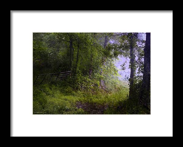 Summer Framed Print featuring the photograph The Road Less Traveled by Ron Jones