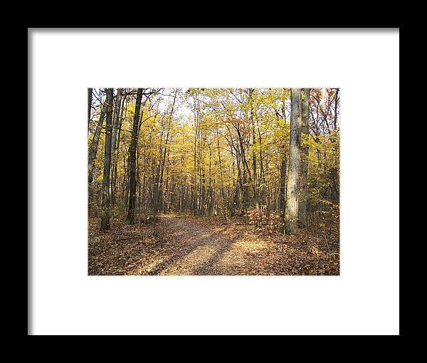 Autumn Framed Print featuring the photograph The Thrill Of It All by Sheila Silverstein