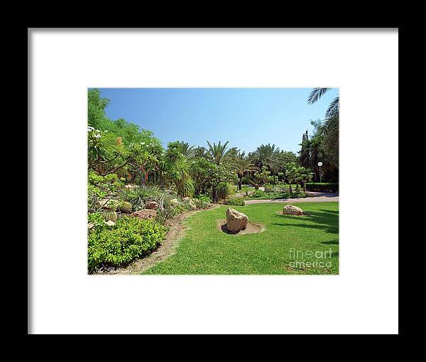  Tropical Framed Print featuring the photograph The Tropical garden in Kibbutz Ein Gedi 04 by Arik Baltinester