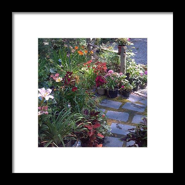 Beautiful Framed Print featuring the photograph The View From The Front Door As I Look by Carla From Central Va Usa